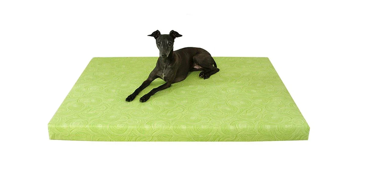 OrthopedicDogBed_LimeOrganiccotton.jpg