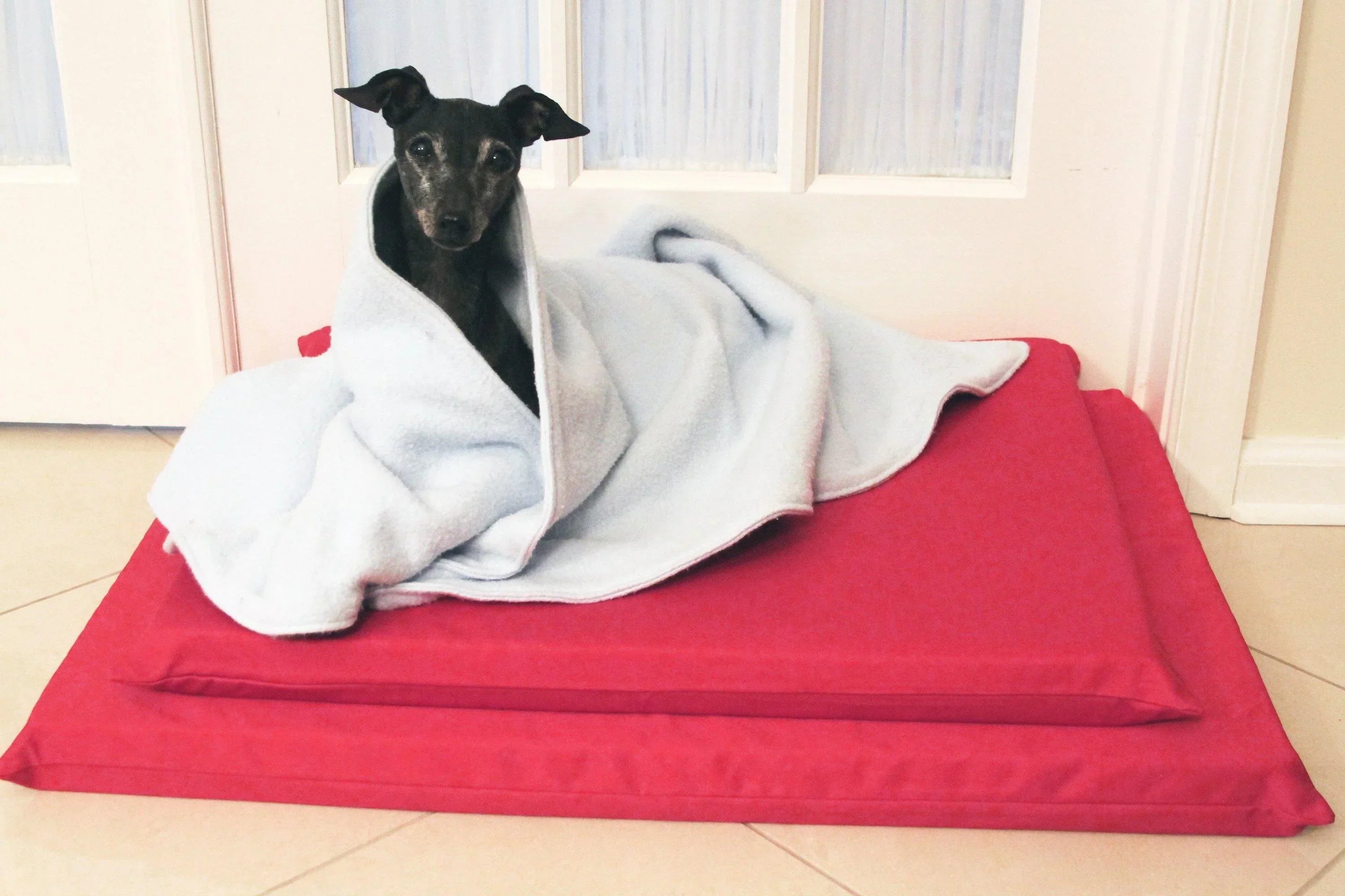black dog on red latex dog mat