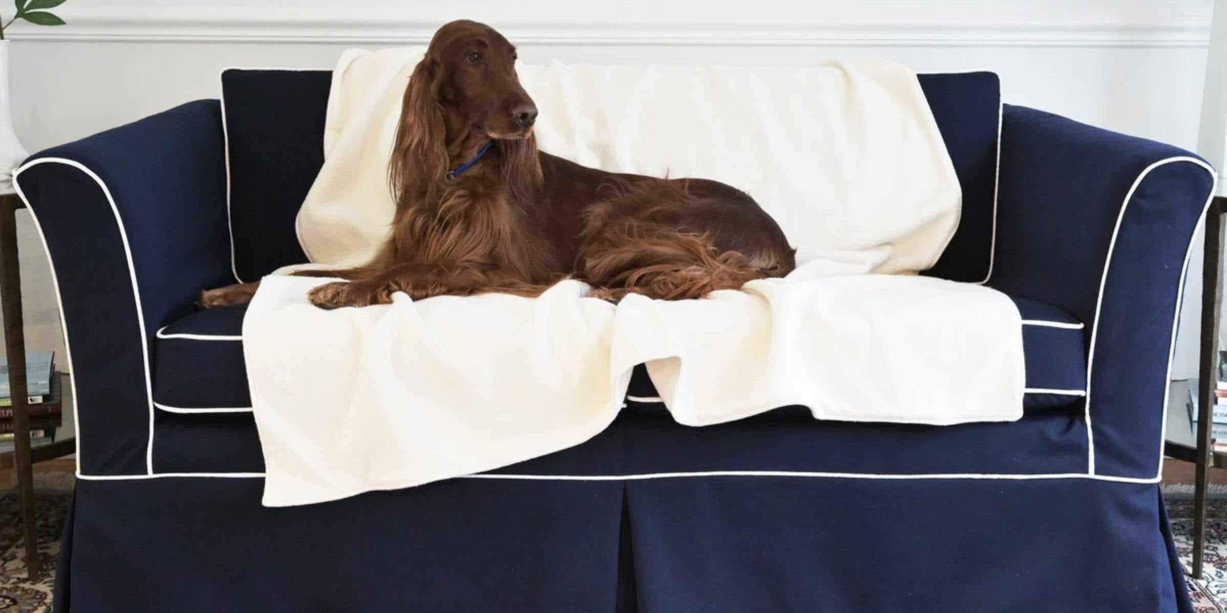 Organic Dog Blankets