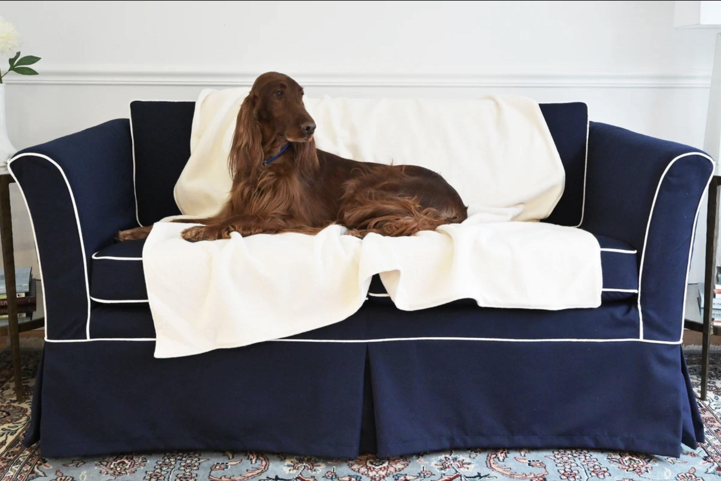 Organic Dog Blankets