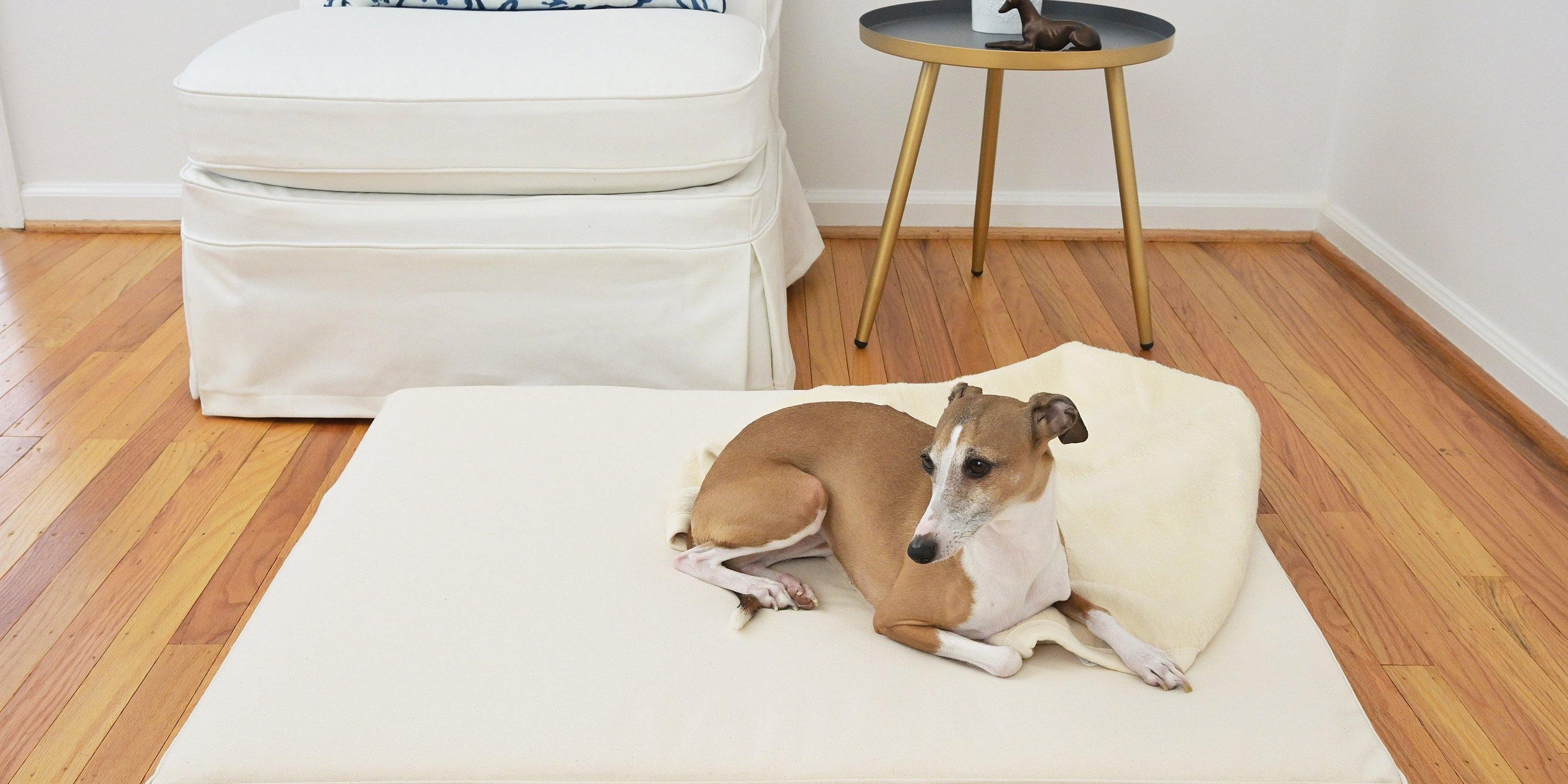 Dye-Free Dog Bedding