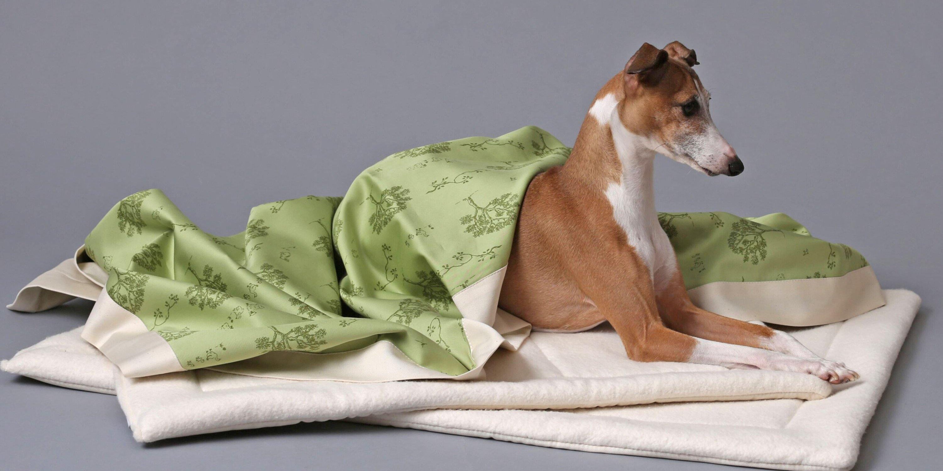 Organic Dog Mats