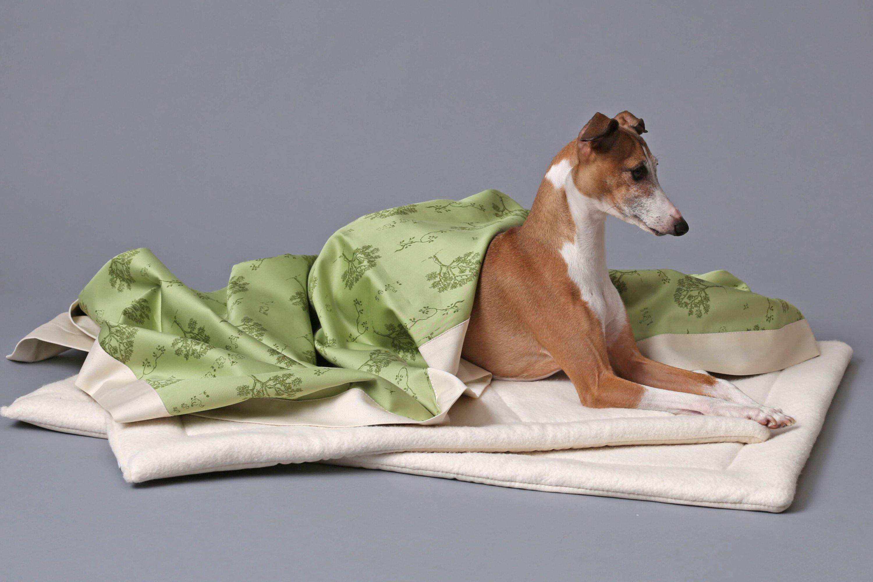 Organic Dog Mats