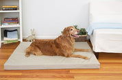 golden retriever on grey stone orthopedic dog bed