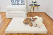 greyhound laying on orthopedic dog bed natural beige