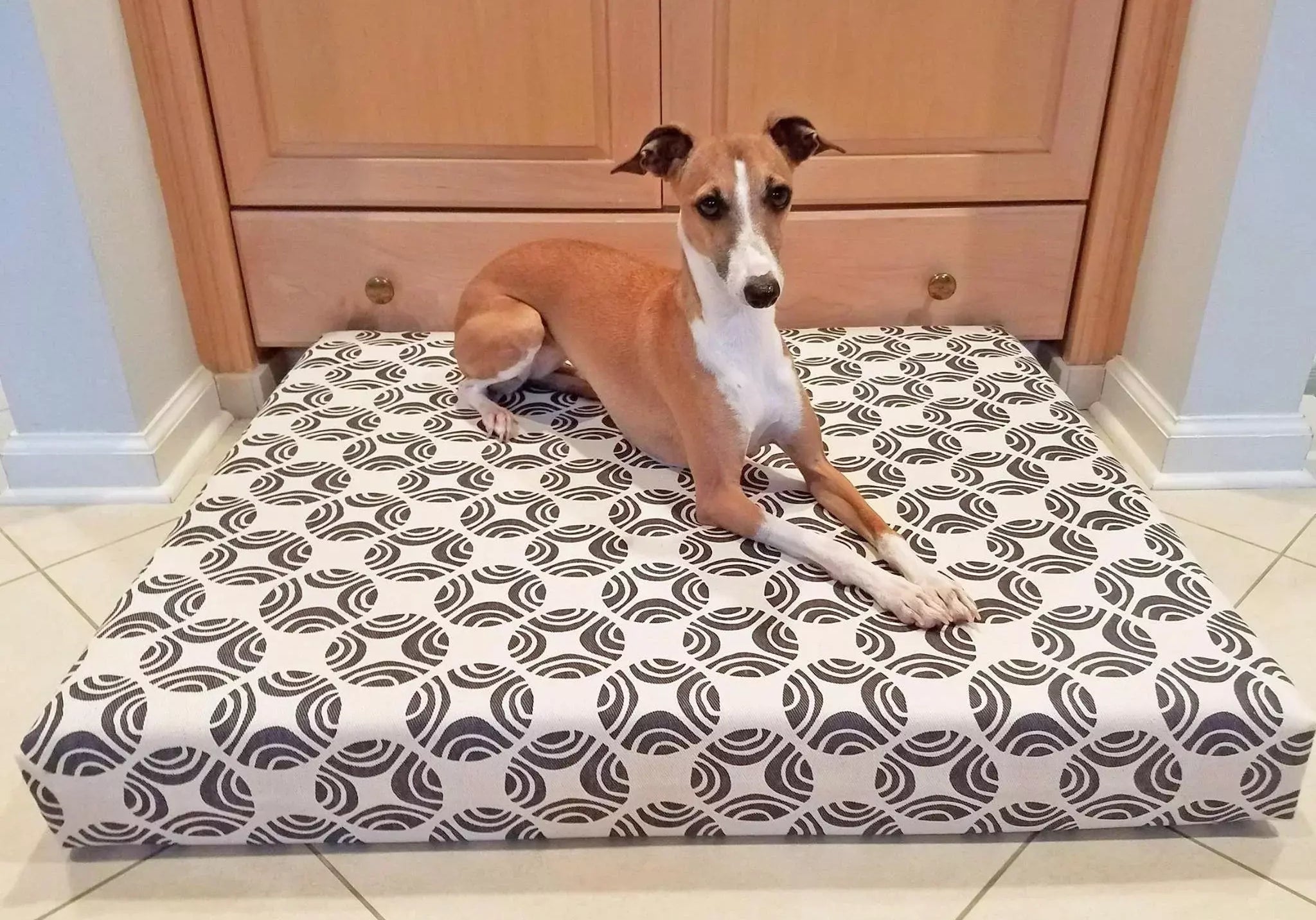 greyhound dog laying on organic orthopedic dog bed in white and brown picasso print
