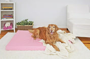 golden retriever dog on pick dog bed and blanket