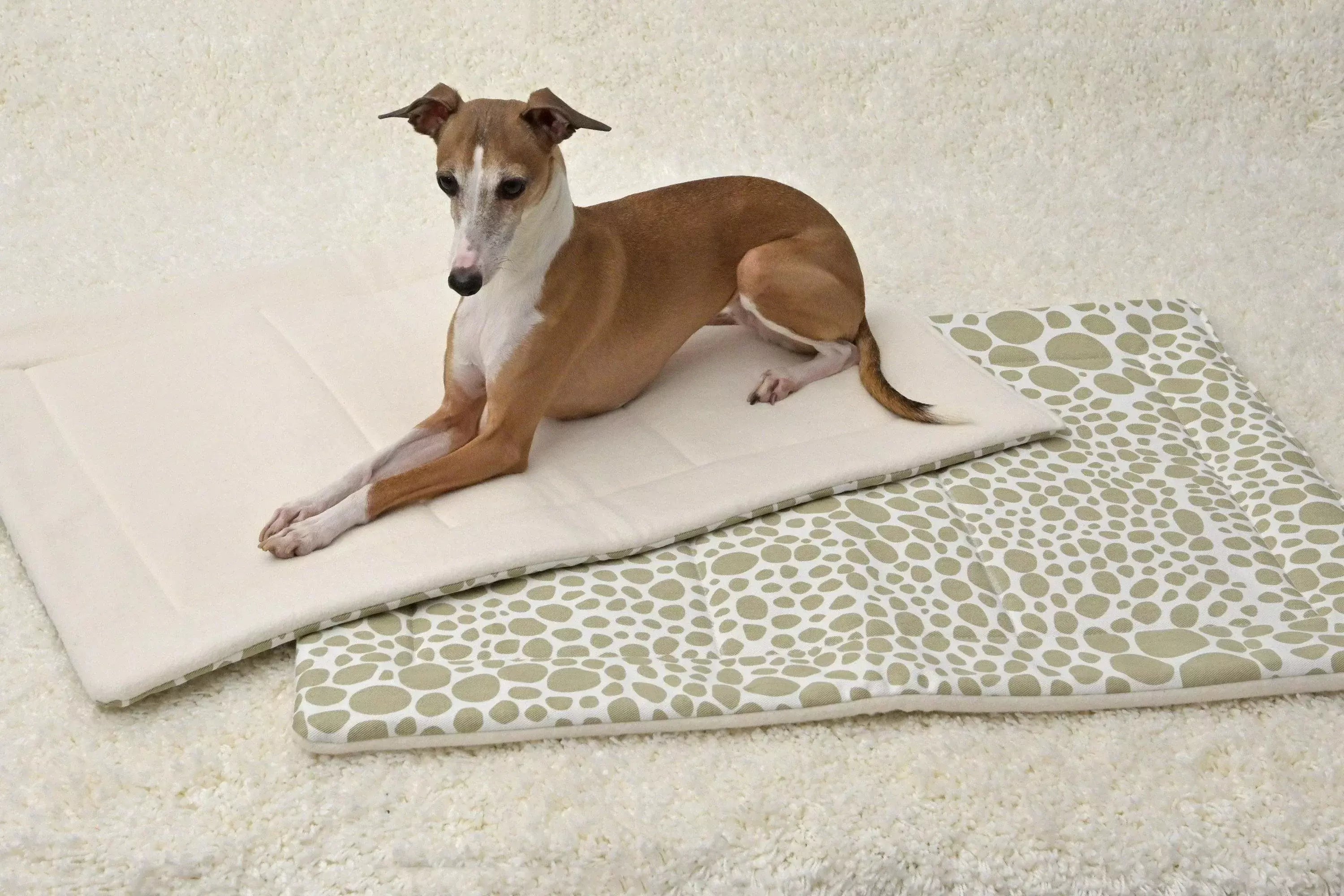 red dog on a beige and tan crate mat