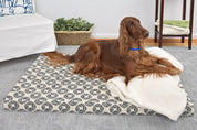 Irish Setter on grey and natural latex dog bed