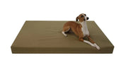 dog laying on olive green orthopedic dog bed