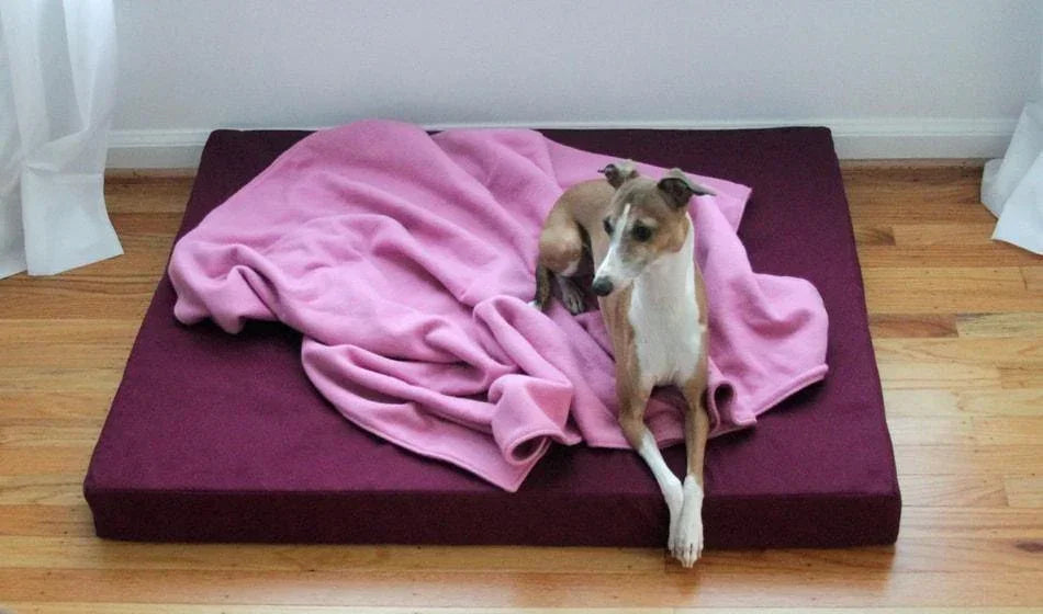 dog laying on organic cotton orthopedic dog bed cherry