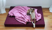 greyhound dog laying on red pink orthopedic dog bed with pink organic cotton blanket