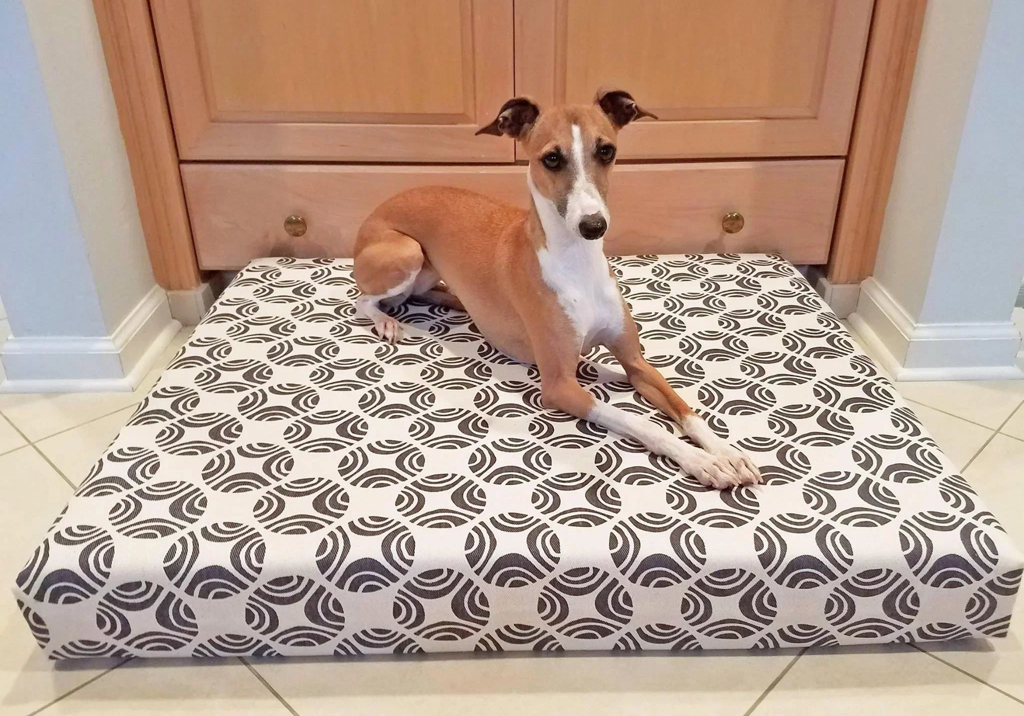 greyhound dog laying on organic orthopedic dog bed in white and brown picasso print