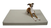 dog laying on organic cotton dog bed cover in stone canvas