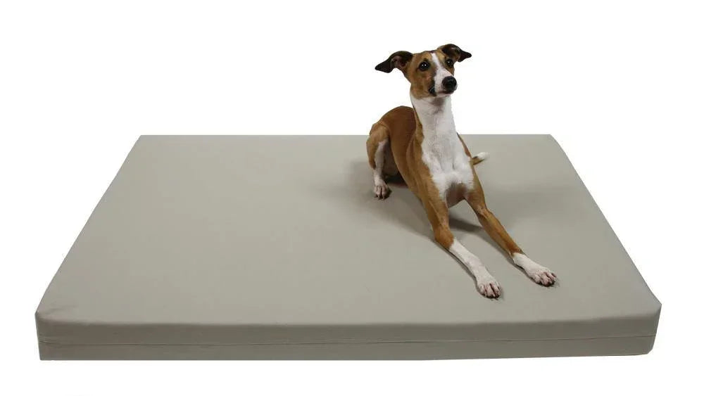 dog laying on organic cotton dog bed cover in stone canvas