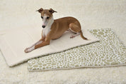 red dog on a beige and tan crate mat