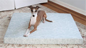 greyhound dog laying on orthopedic dog bed in light blue grey scalloped lichen
