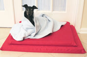 Black dog on a red mat wrapped in a blue blanket.